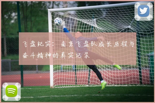 飞盘纪实：南京飞盘队成长历程与奋斗精神的真实记录