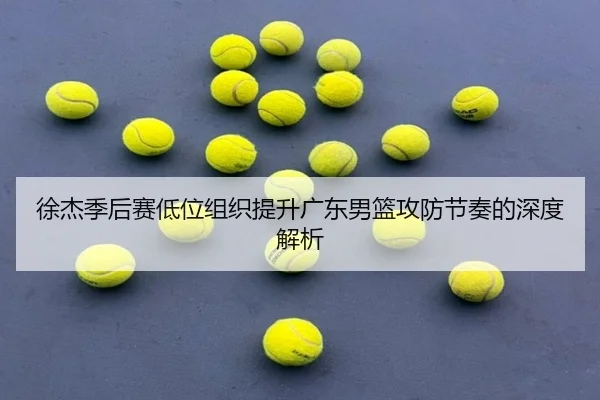 徐杰季后赛低位组织提升广东男篮攻防节奏的深度解析
